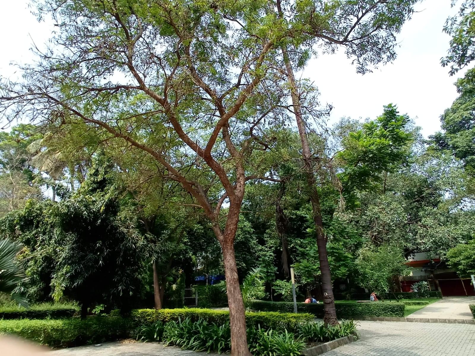 SPIT General photo 6